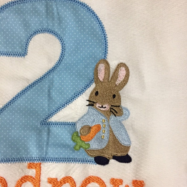 Peter Rabbit Embroidery Design